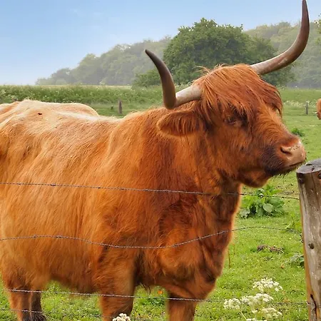 Holiday home Haderslev Holiday 619 Diernaes